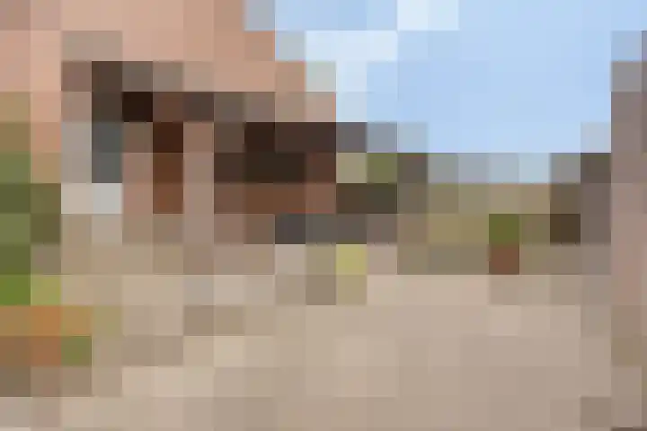 Vaesrade 19 Nuth thumbnail 40