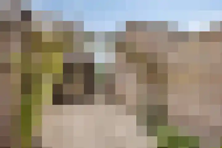 Vaesrade 19 Nuth thumbnail 41