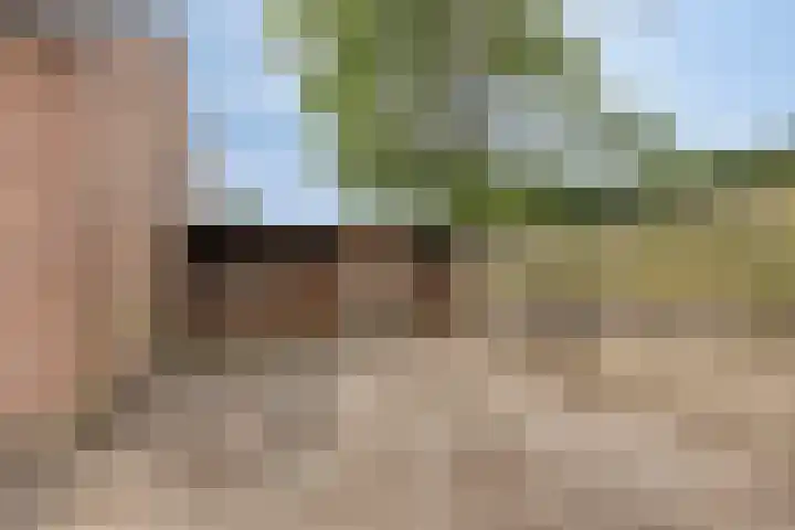 Vaesrade 19 Nuth thumbnail 43