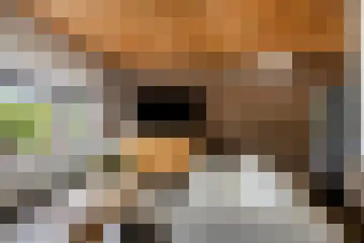 Vaesrade 19 Nuth thumbnail 7