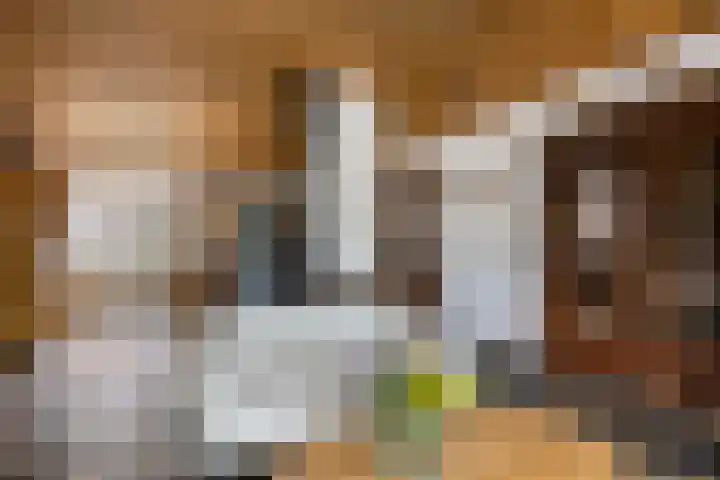 Vaesrade 19 Nuth thumbnail 8