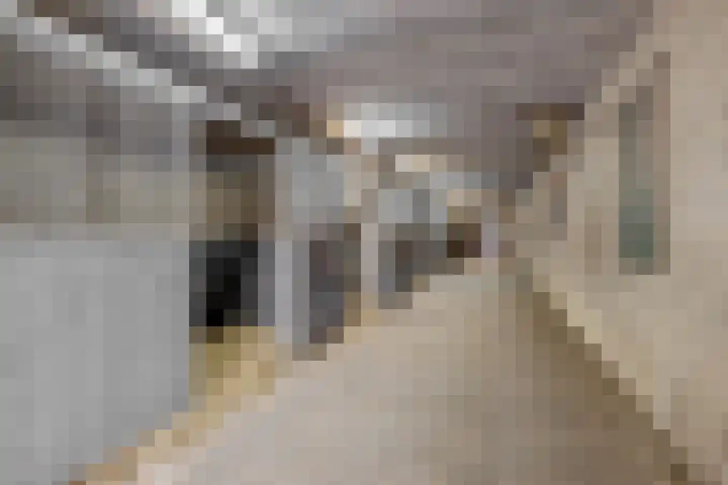 Vaesrade 2 4 Nuth thumbnail 13