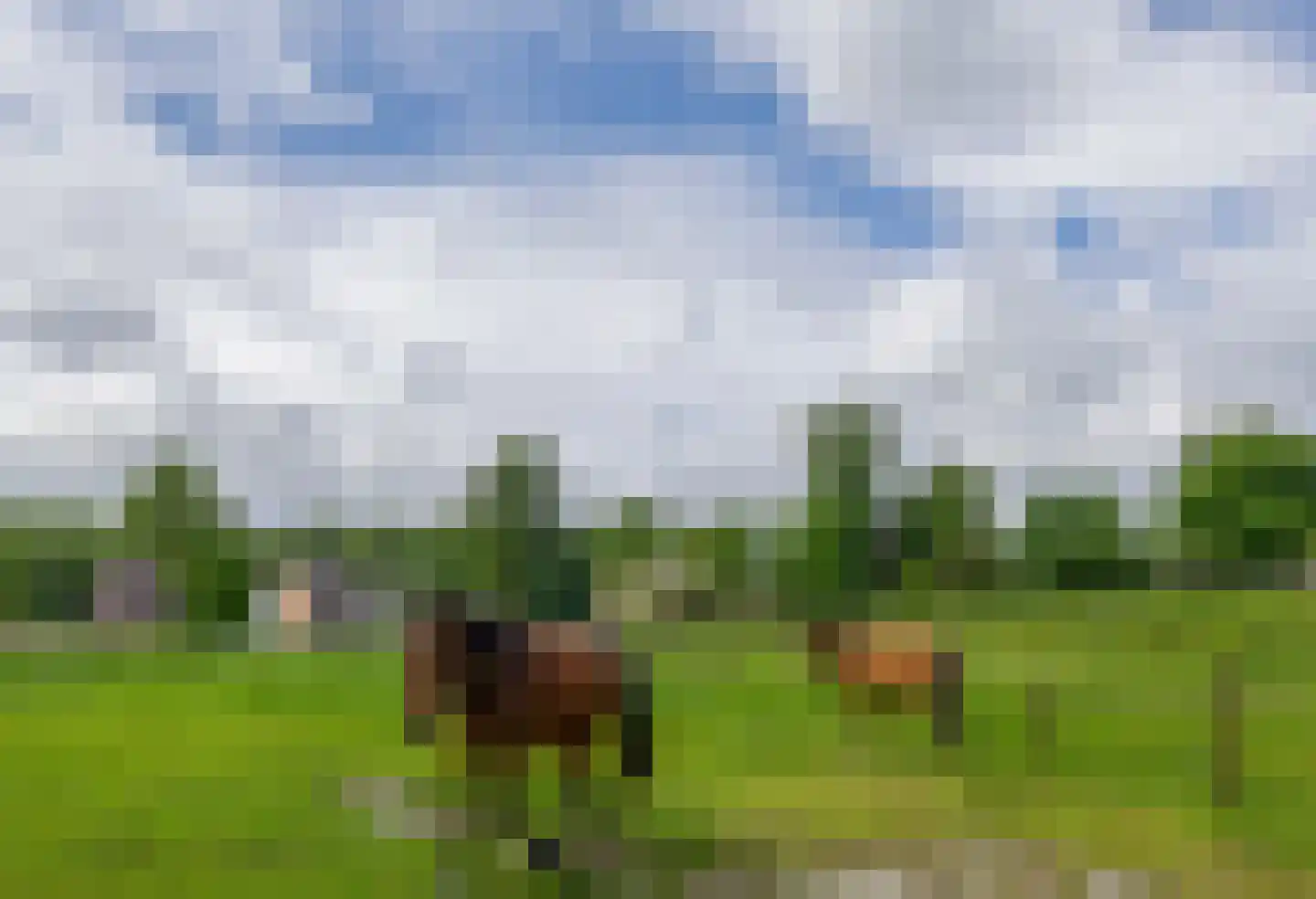 Vaesrade 2 4 Nuth thumbnail 32