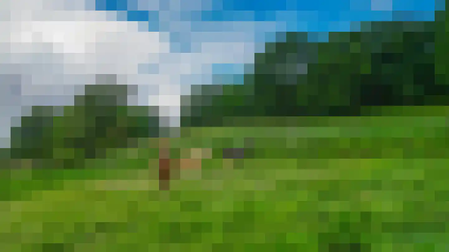 Vaesrade 2 4 Nuth thumbnail 33