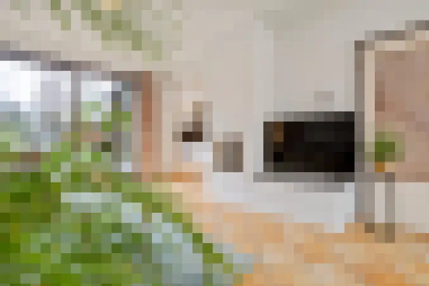 Vaesrade 95 Nuth thumbnail 11