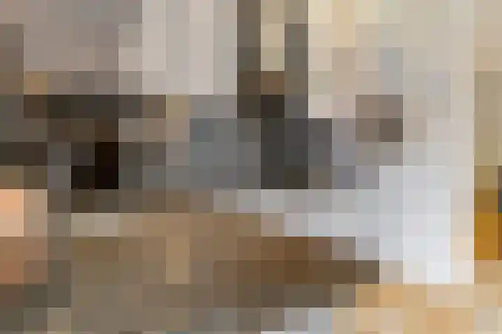 Vaesrade 95 Nuth thumbnail 17