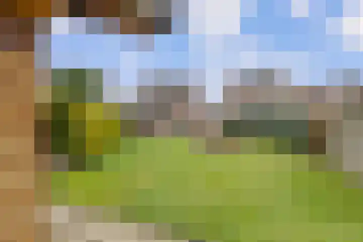 Vaesrade 95 Nuth thumbnail 34