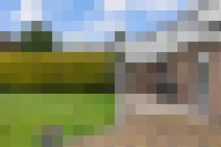 Vaesrade 95 Nuth thumbnail 35