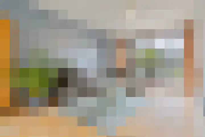 Vaesrade 95 Nuth thumbnail 9