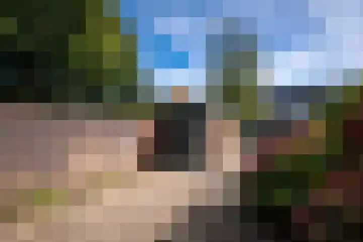 Vagerveld 52 Nieuw-Vennep thumbnail 12