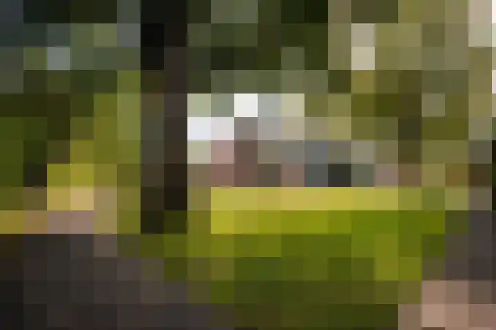 Vagerveld 52 Nieuw-Vennep thumbnail 25