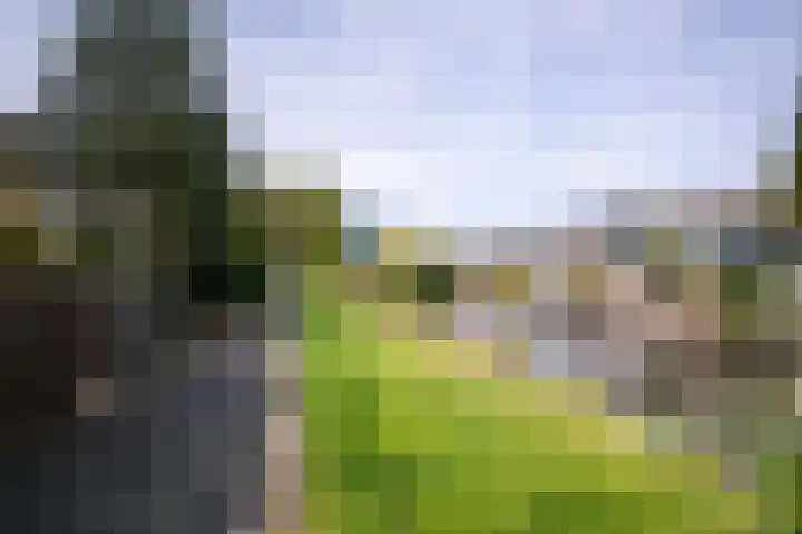 Vagerveld 52 Nieuw-Vennep thumbnail 26