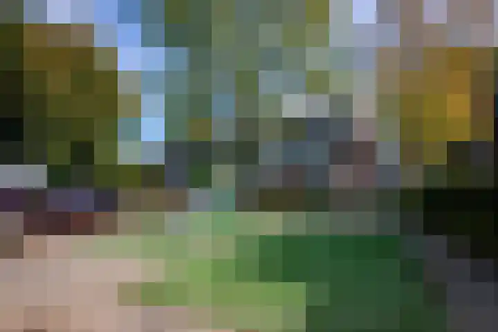 Vagerveld 52 Nieuw-Vennep thumbnail 27