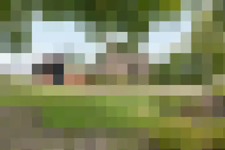 Vagevuursweg 3 a Haarle thumbnail 10