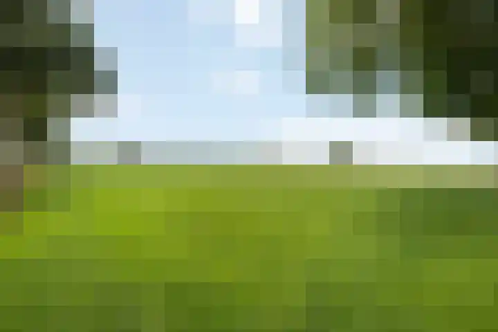 Vagevuursweg 3 a Haarle thumbnail 18