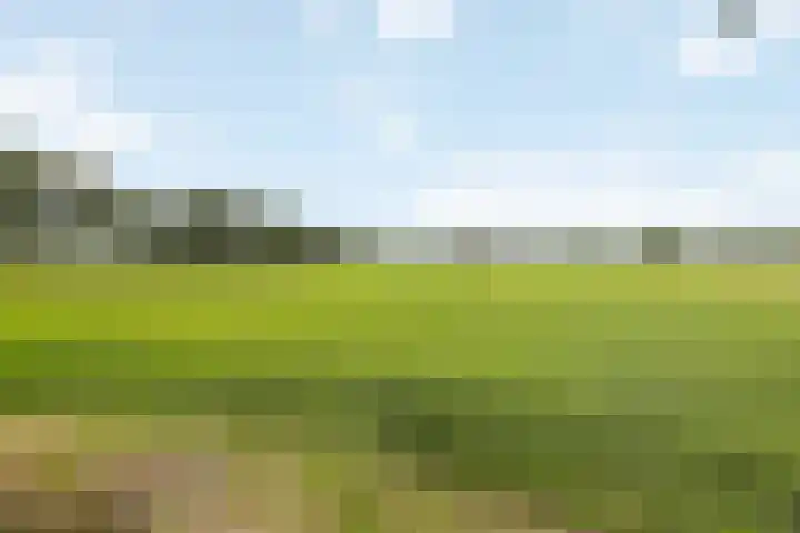 Vagevuursweg 3 a Haarle thumbnail 19