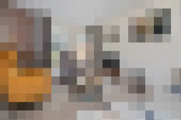 Vagevuursweg 3 a Haarle thumbnail 22