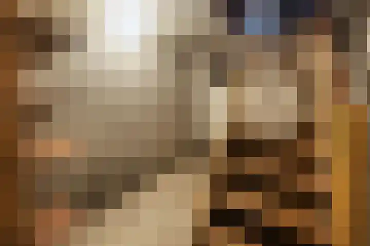 Vagevuursweg 3 a Haarle thumbnail 28
