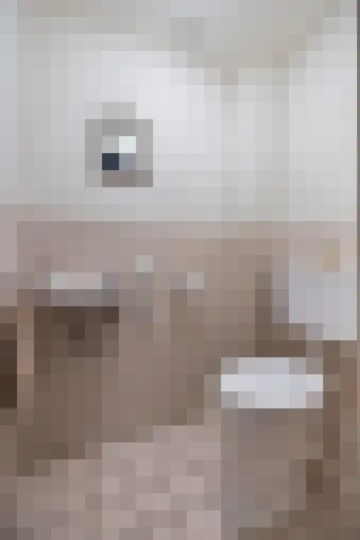 Vagevuursweg 3 a Haarle thumbnail 30
