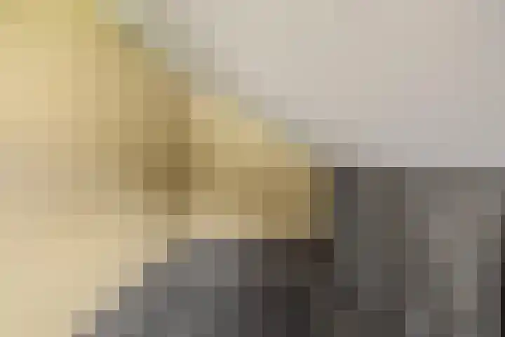 Vagevuursweg 3 a Haarle thumbnail 34