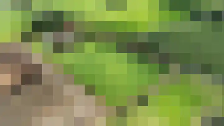 Vagevuursweg 3 a Haarle thumbnail 4