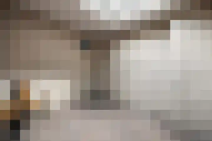 Vagevuursweg 3 a Haarle thumbnail 43