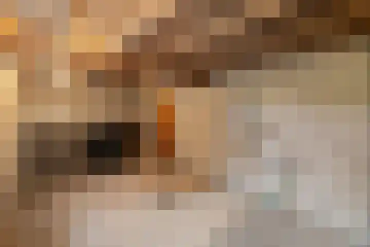 Vagevuursweg 3 a Haarle thumbnail 48