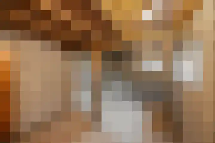 Vagevuursweg 3 a Haarle thumbnail 49