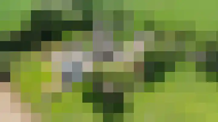 Vagevuursweg 3 a Haarle thumbnail 6