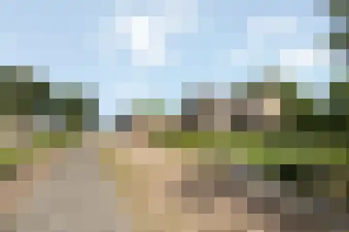 Vagevuursweg 3 a Haarle thumbnail 9