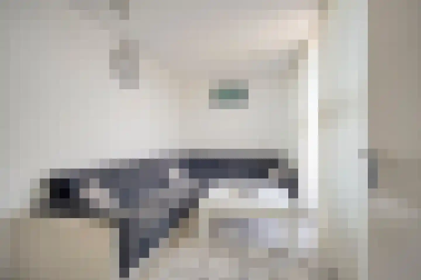 Vaillantlaan 174 Den Haag thumbnail 10