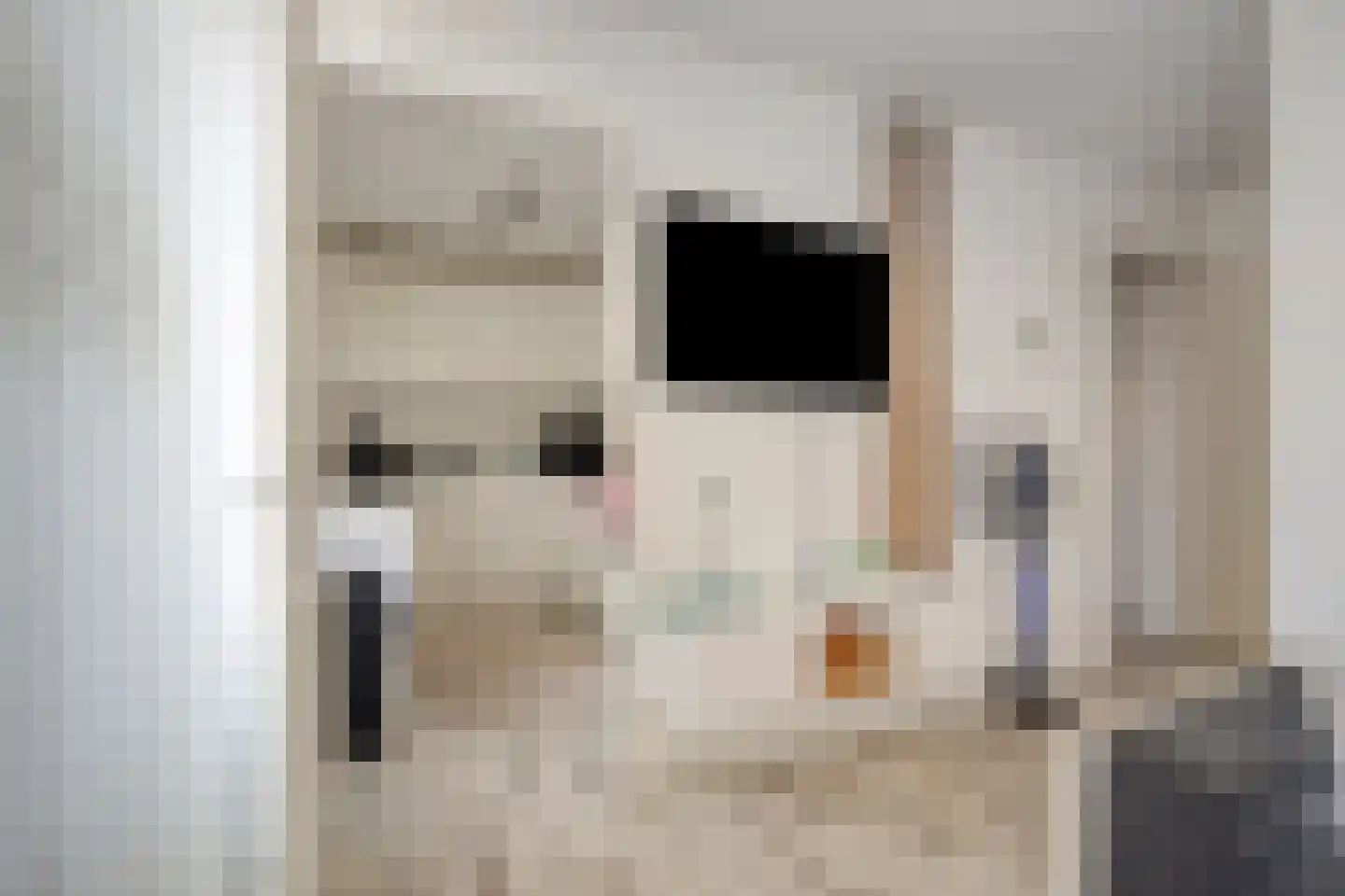 Vaillantlaan 174 Den Haag thumbnail 11