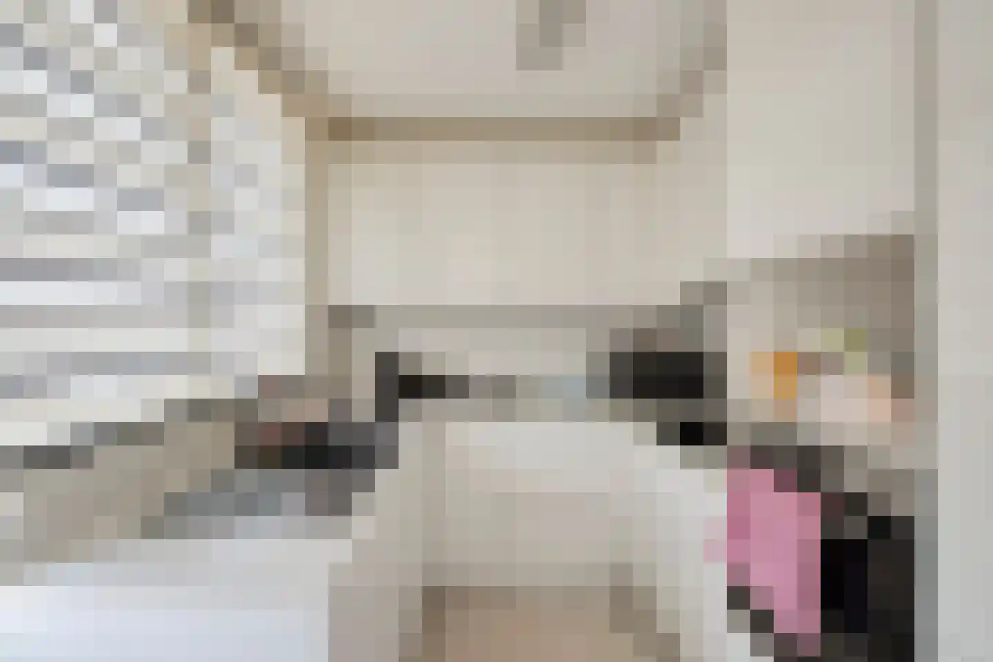 Vaillantlaan 174 Den Haag thumbnail 12