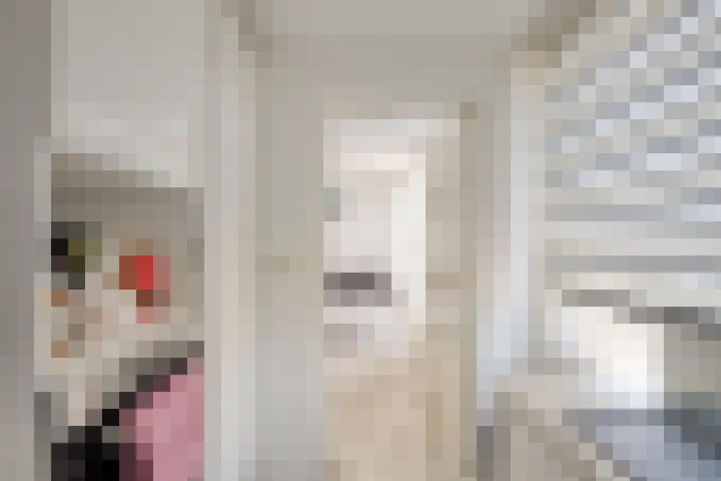 Vaillantlaan 174 Den Haag thumbnail 13