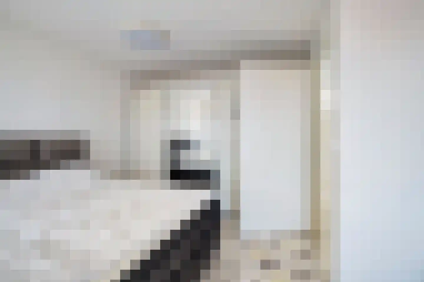 Vaillantlaan 174 Den Haag thumbnail 15