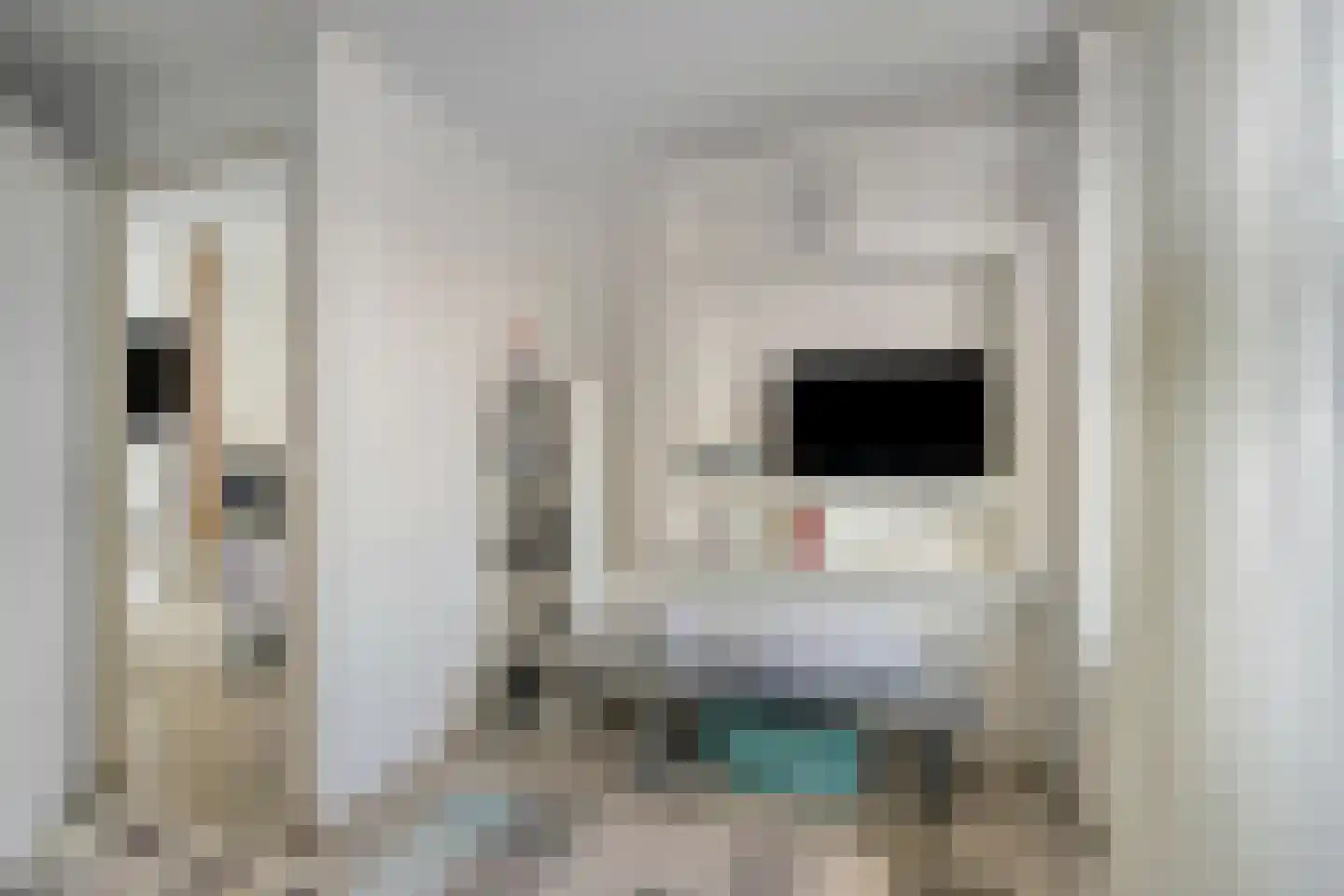 Vaillantlaan 174 Den Haag thumbnail 16