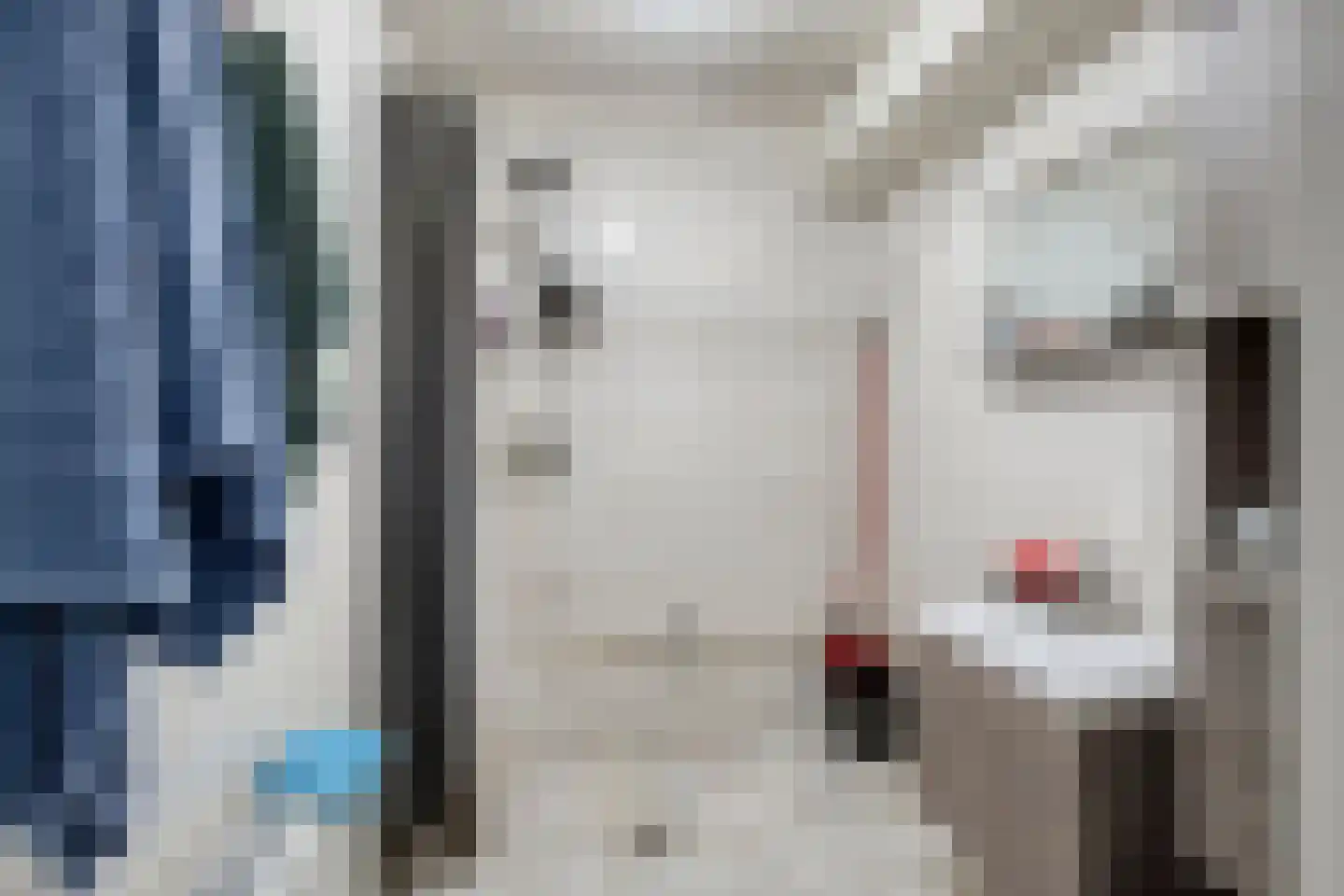 Vaillantlaan 174 Den Haag thumbnail 17