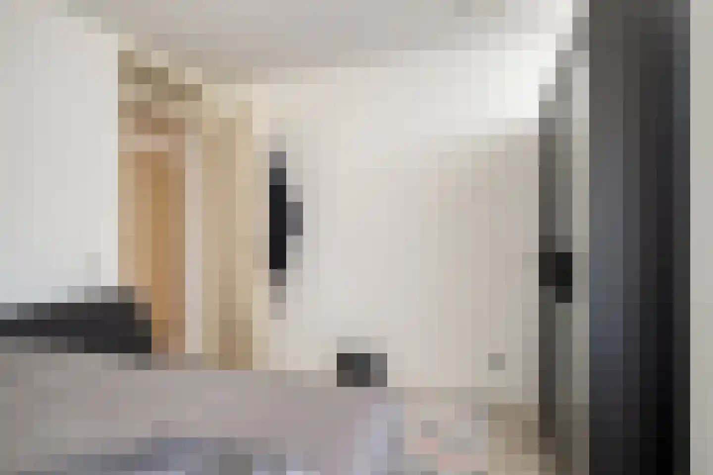 Vaillantlaan 174 Den Haag thumbnail 20