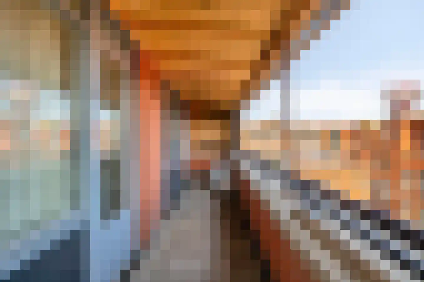 Vaillantlaan 174 Den Haag thumbnail 22