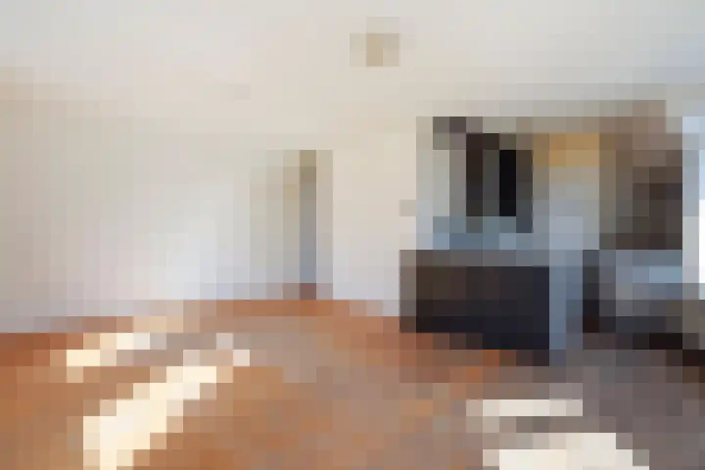 Vaillantlaan 347 Den Haag thumbnail 14