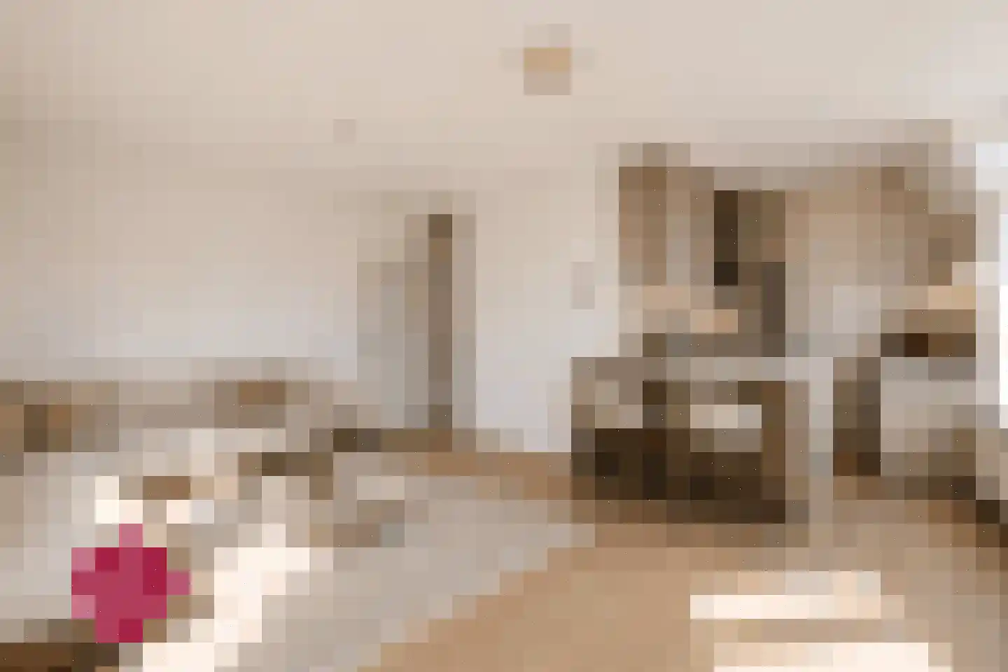 Vaillantlaan 347 Den Haag thumbnail 15