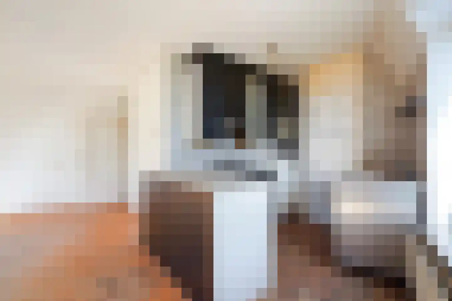 Vaillantlaan 347 Den Haag thumbnail 16