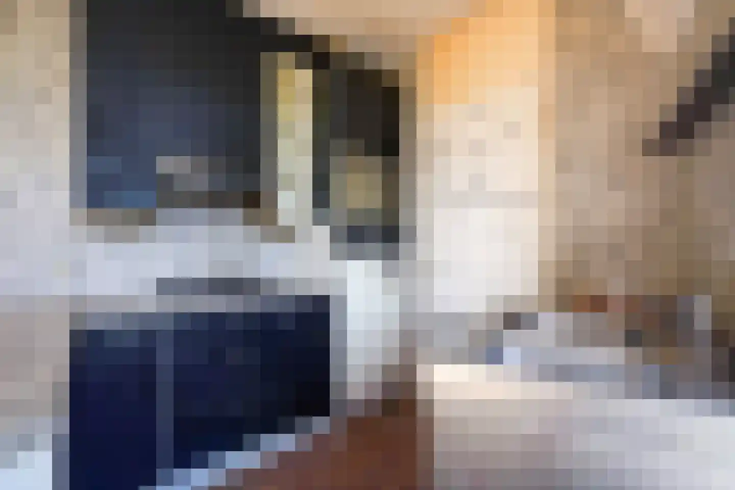 Vaillantlaan 347 Den Haag thumbnail 17