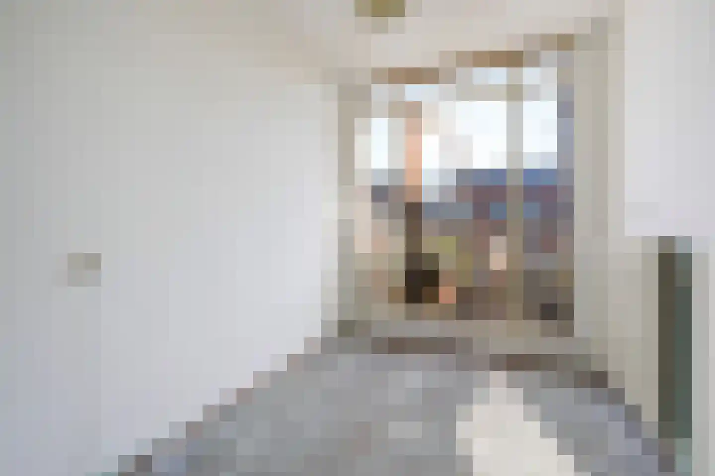 Vaillantlaan 347 Den Haag thumbnail 20