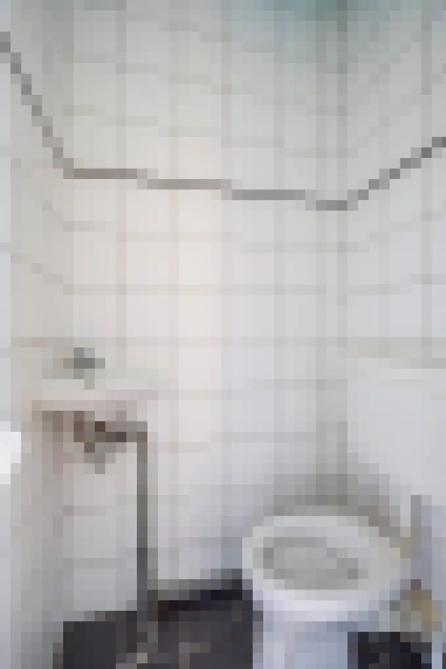 Vaillantlaan 347 Den Haag thumbnail 31