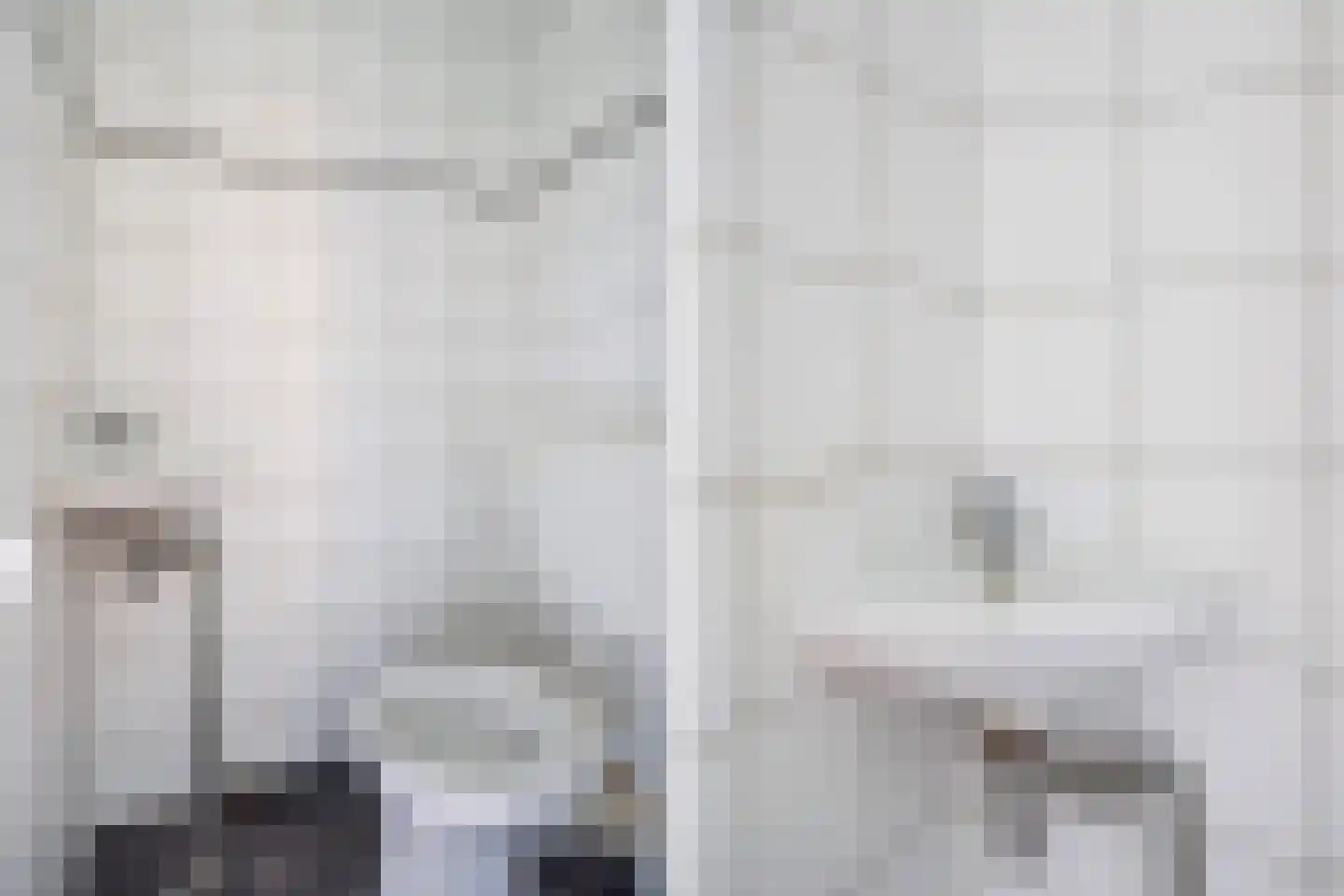 Vaillantlaan 347 Den Haag thumbnail 32