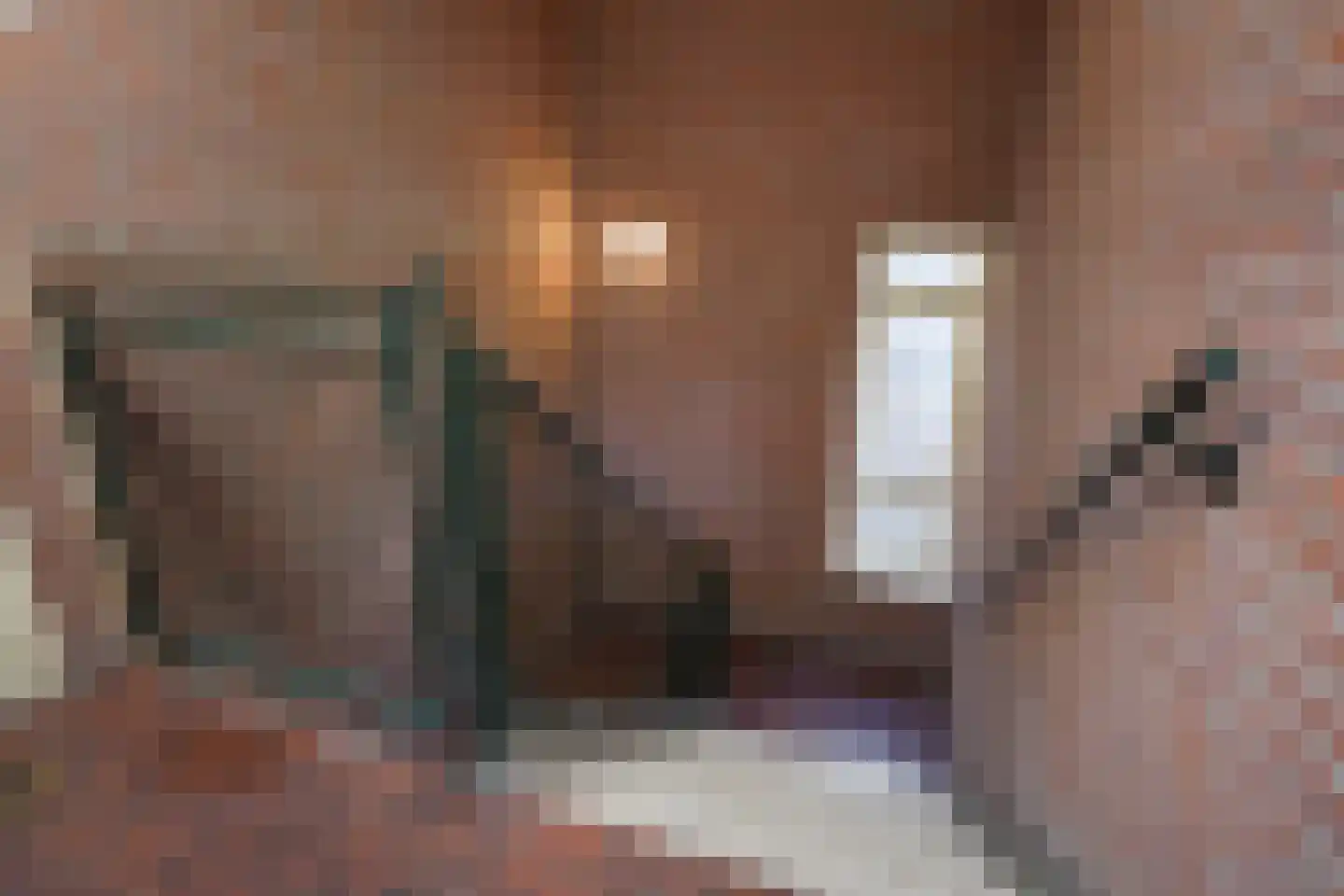 Vaillantlaan 347 Den Haag thumbnail 5