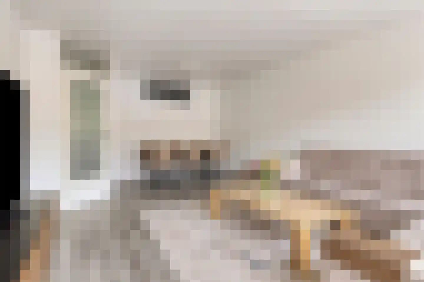 Vaillantlaan 552 Den Haag thumbnail 13