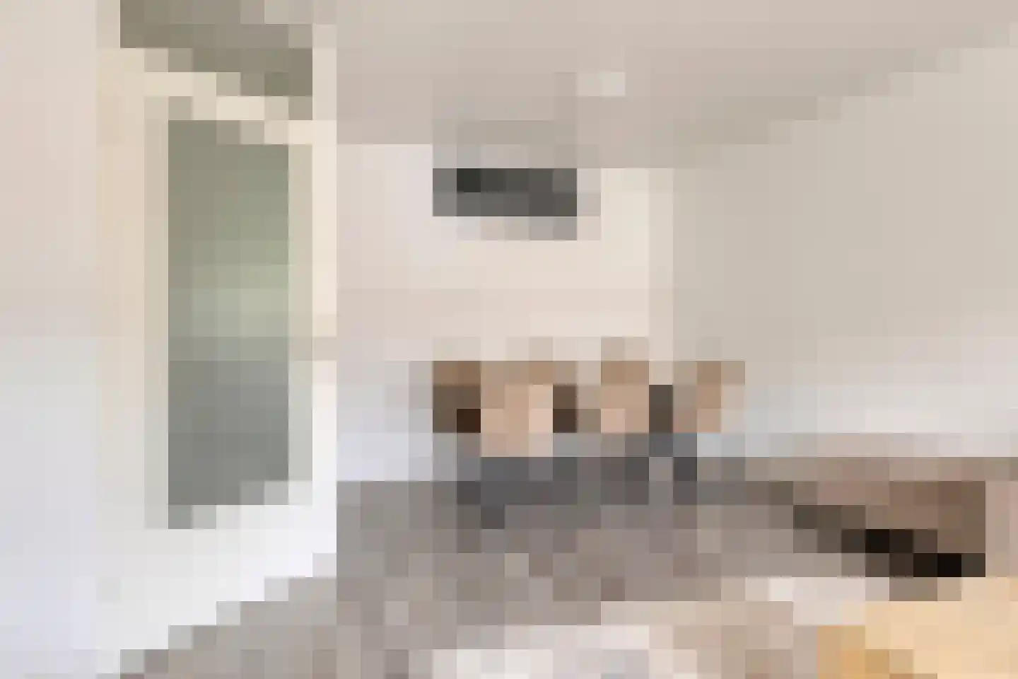 Vaillantlaan 552 Den Haag thumbnail 14