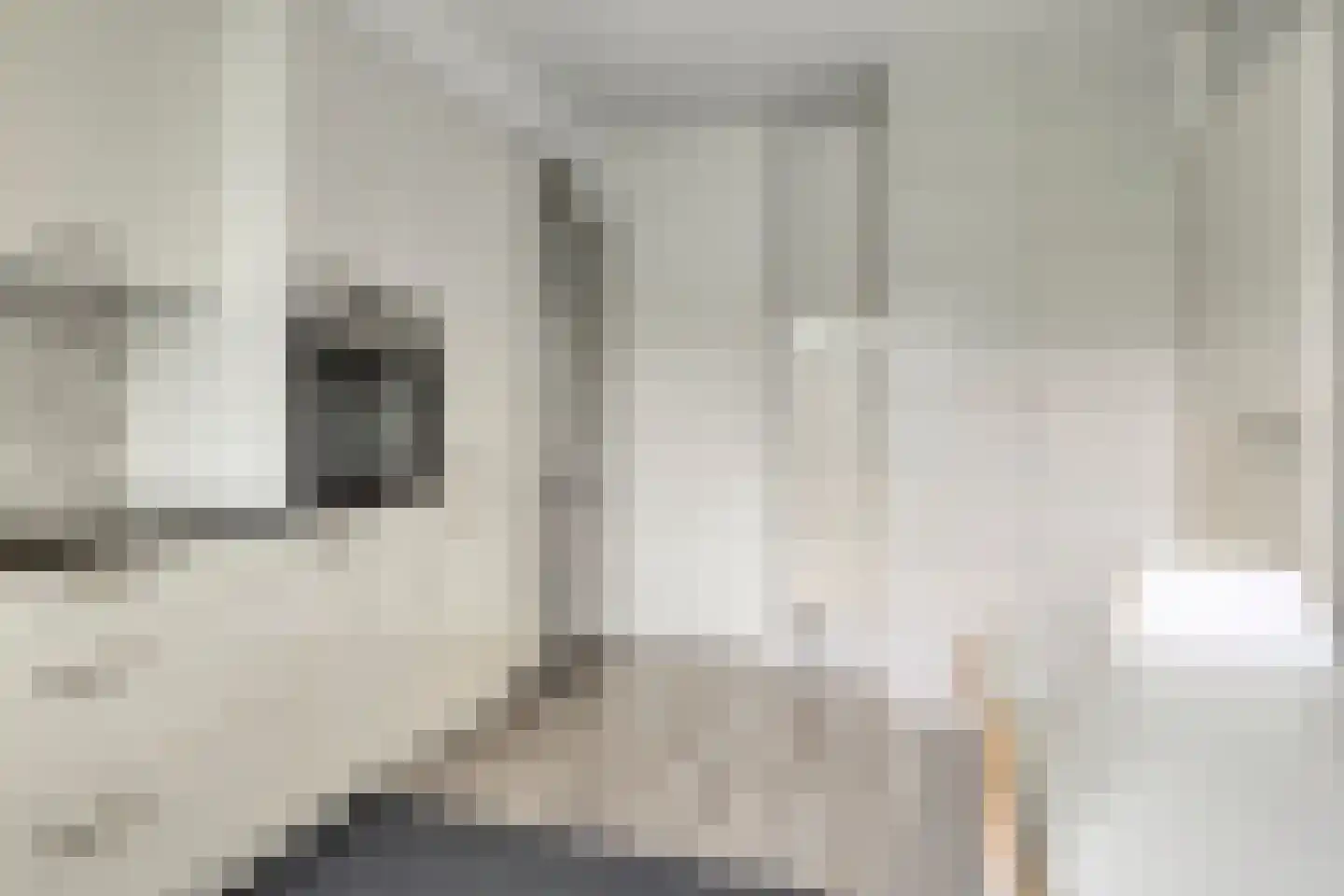 Vaillantlaan 552 Den Haag thumbnail 22